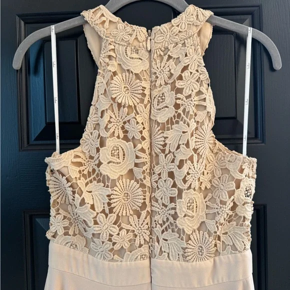 Lulu's Picture Perfect Blush Lace Maxi Dress - Picture 10 of 10